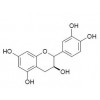 微晶体儿茶素