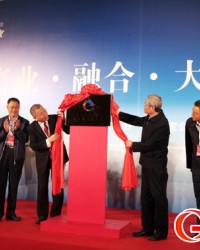 中国电子商务协会智慧城市委员会揭牌仪式在京举行