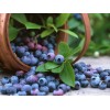 一种蓝莓保健饮料及其制备方法