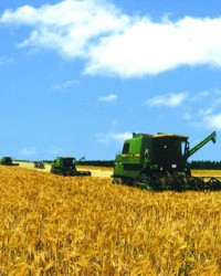 中共中央 国务院关于进一步推进农垦改革发展的意见