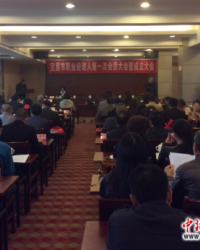 首届湖北省职业经理人协会会员大会武汉召开