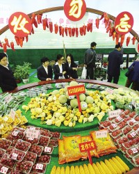 广西柳州举办第一届农业博览会