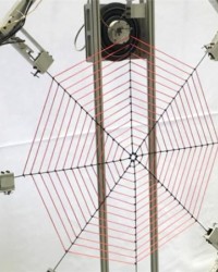 科学家造2米“蜘蛛网” 研究蜘蛛如何感知振动