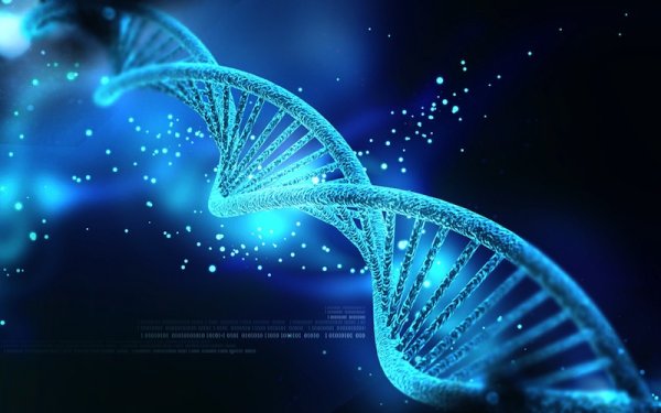 人类胚胎基因编辑有何前景？中科院专家与国际学者发表新论述