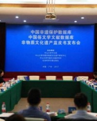 中国非遗保护数据库正式上线