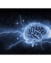 新研究发现用电刺激大脑可增强记忆，有望治疗阿尔茨海默病等