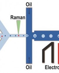 中科院青岛能源所发明拉曼激活单细胞液滴分选技术