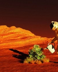 阿联酋宣布“太空农业计划”：或在火星种草莓