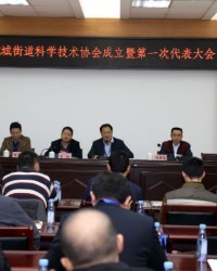 深圳宝安区航城街道科学技术协会成立暨第一次代表大会隆重召开