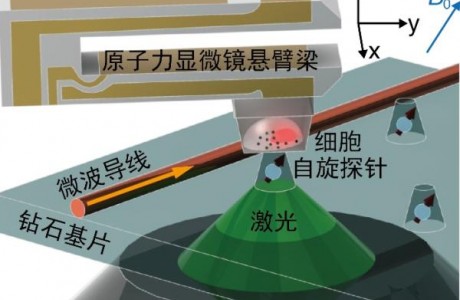 中国学者研制出“钻石传感器”