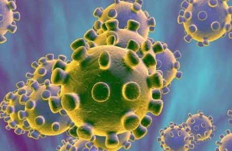 中国科学家发文还原新型冠状病毒发现始末